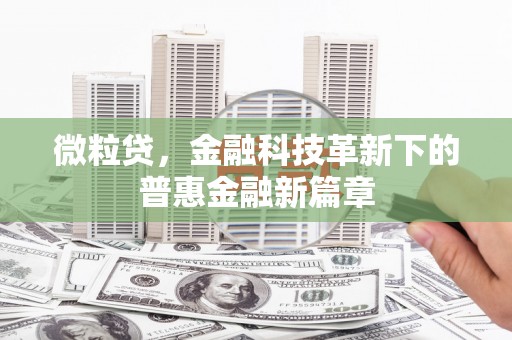 虞城微粒贷，金融科技革新下的普惠金融新篇章