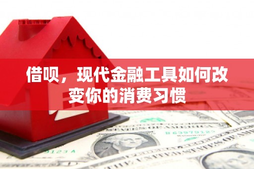 虞城借呗，现代金融工具如何改变你的消费习惯