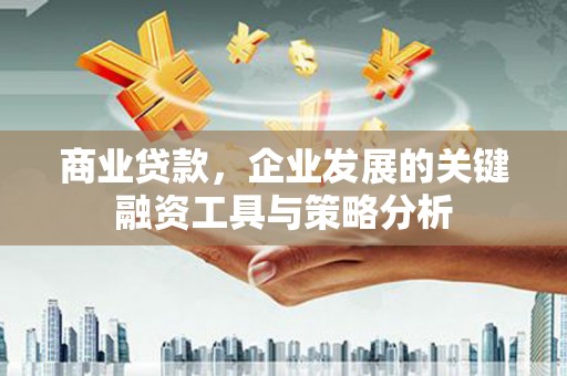虞城商业贷款，企业发展的关键融资工具与策略分析