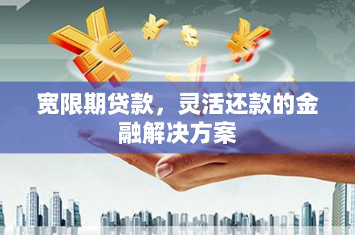 虞城宽限期贷款，灵活还款的金融解决方案