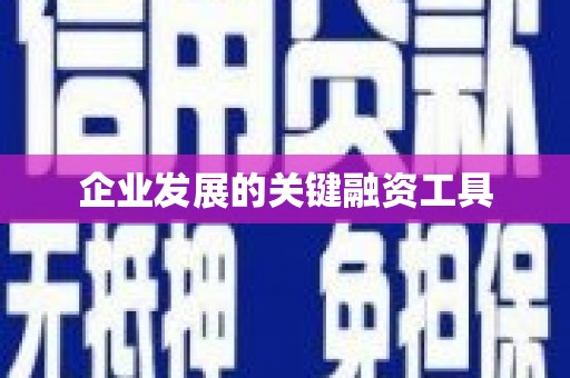 虞城企业发展的关键融资工具
