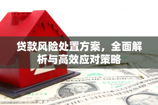 虞城贷款风险处置方案，全面解析与高效应对策略