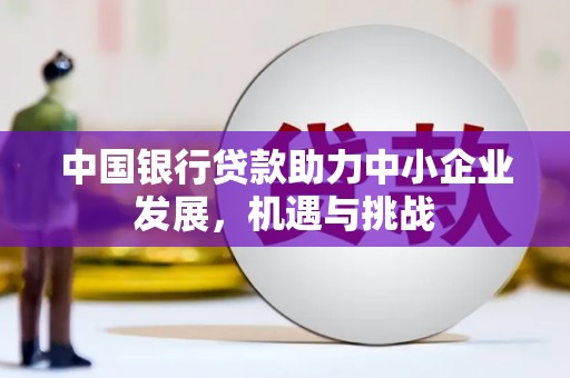 虞城中国银行贷款助力中小企业发展，机遇与挑战
