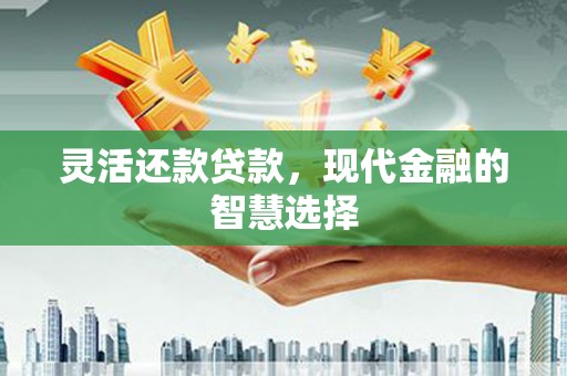 虞城灵活还款贷款，现代金融的智慧选择