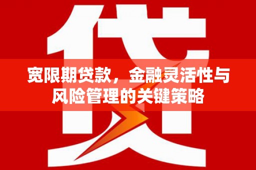 虞城宽限期贷款，金融灵活性与风险管理的关键策略