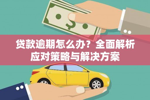 虞城贷款逾期怎么办？全面解析应对策略与解决方案