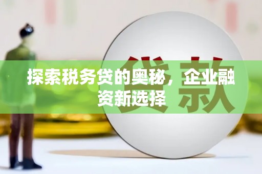 虞城探索税务贷的奥秘，企业融资新选择