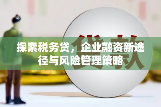 虞城探索税务贷，企业融资新途径与风险管理策略