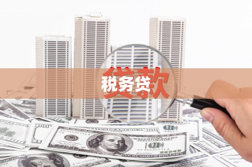虞城税务贷