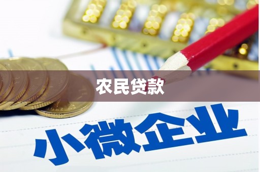 虞城农民贷款