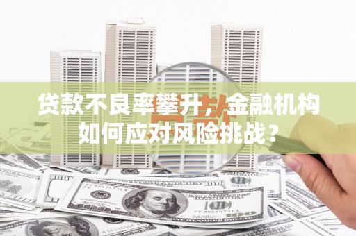 虞城贷款不良率攀升，金融机构如何应对风险挑战？