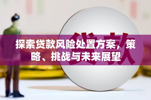 虞城探索贷款风险处置方案，策略、挑战与未来展望