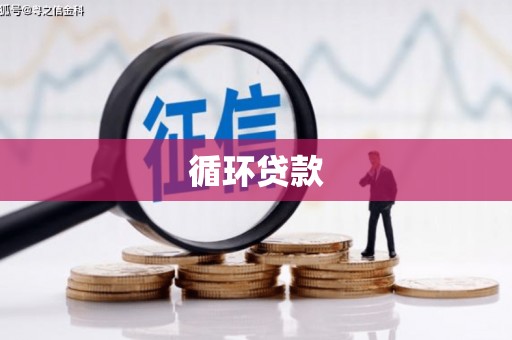 虞城循环贷款