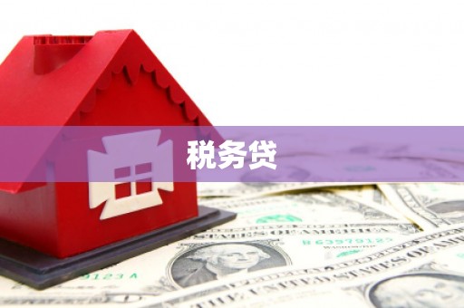 虞城税务贷