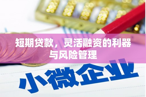 虞城短期贷款，灵活融资的利器与风险管理