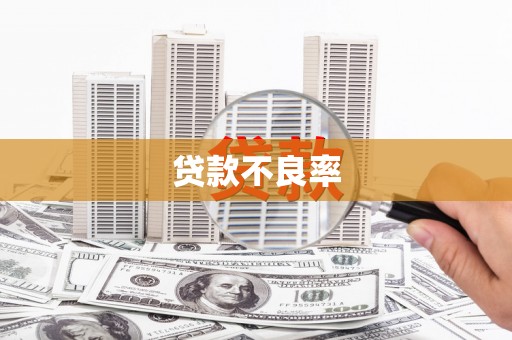 虞城贷款不良率