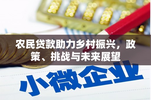 虞城农民贷款助力乡村振兴，政策、挑战与未来展望