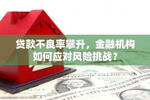 虞城贷款不良率攀升，金融机构如何应对风险挑战？