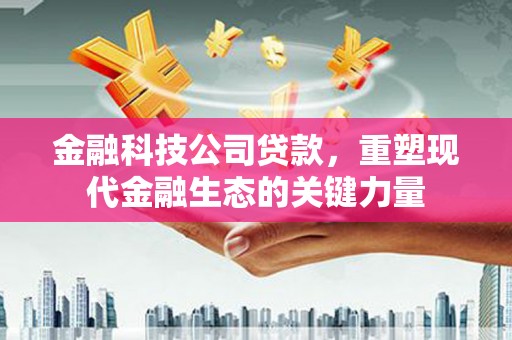 虞城金融科技公司贷款，重塑现代金融生态的关键力量