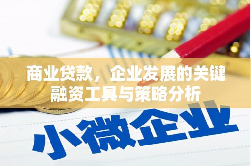 虞城商业贷款，企业发展的关键融资工具与策略分析