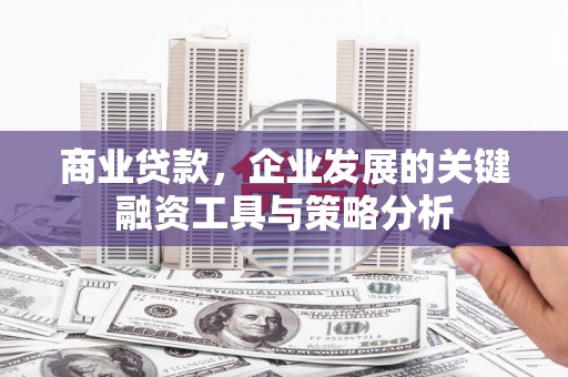 虞城商业贷款，企业发展的关键融资工具与策略分析