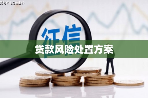 虞城贷款风险处置方案