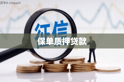 虞城保单质押贷款