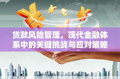 虞城贷款风险管理，现代金融体系中的关键挑战与应对策略