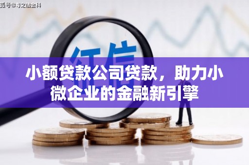 虞城小额贷款公司贷款，助力小微企业的金融新引擎