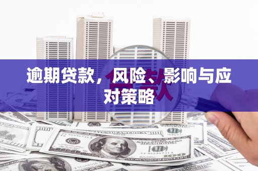 虞城逾期贷款，风险、影响与应对策略