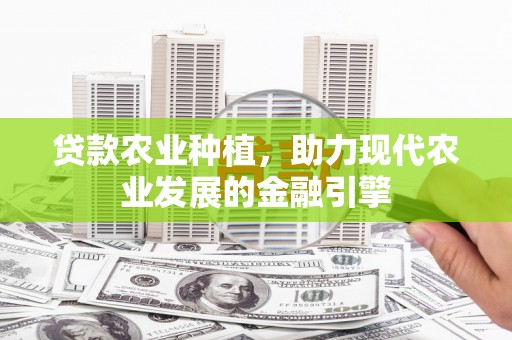 虞城贷款农业种植，助力现代农业发展的金融引擎
