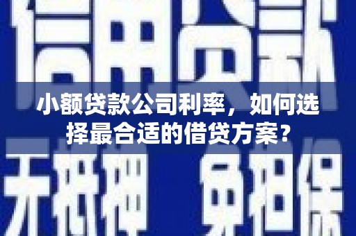 虞城小额贷款公司利率，如何选择最合适的借贷方案？