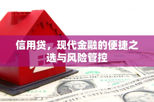 虞城信用贷，现代金融的便捷之选与风险管控