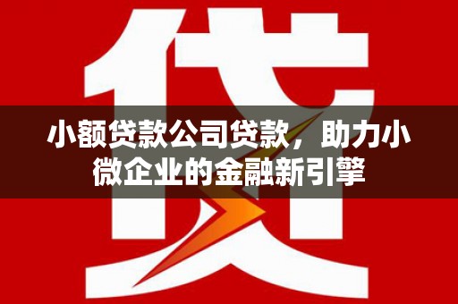 虞城小额贷款公司贷款，助力小微企业的金融新引擎