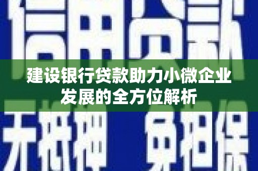 虞城建设银行贷款助力小微企业发展的全方位解析