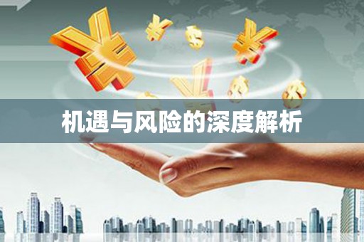 虞城机遇与风险的深度解析