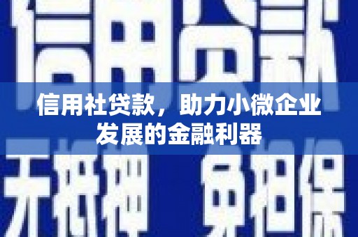 虞城信用社贷款，助力小微企业发展的金融利器