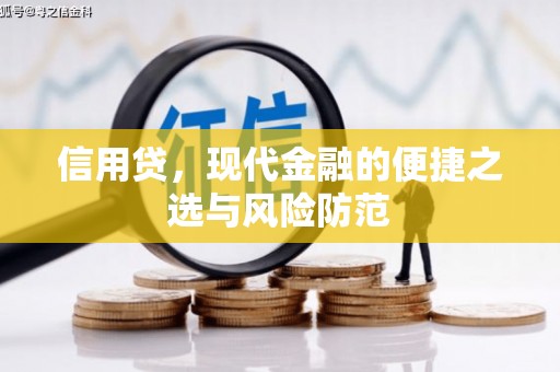 虞城信用贷，现代金融的便捷之选与风险防范