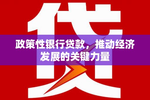 虞城政策性银行贷款，推动经济发展的关键力量