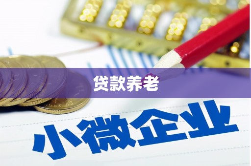 虞城贷款养老