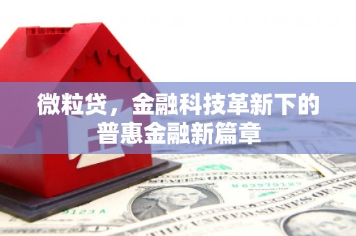 虞城微粒贷，金融科技革新下的普惠金融新篇章