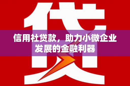 虞城信用社贷款，助力小微企业发展的金融利器