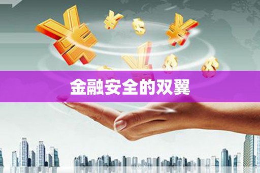 虞城金融安全的双翼