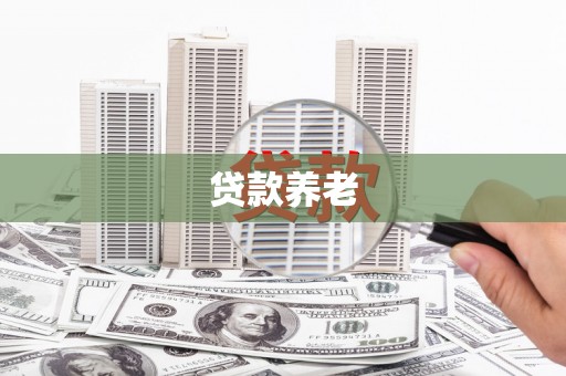 虞城贷款养老