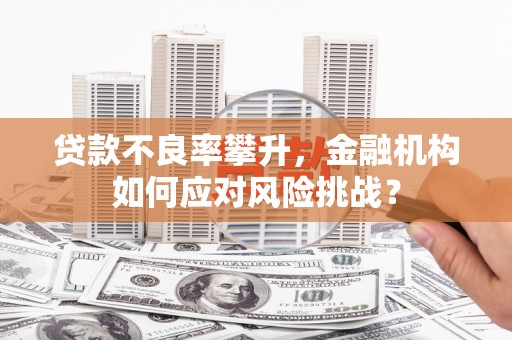 虞城贷款不良率攀升，金融机构如何应对风险挑战？
