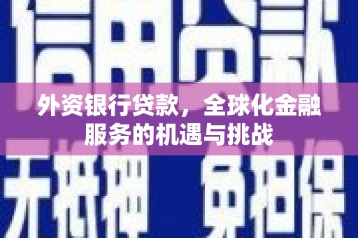 虞城外资银行贷款，全球化金融服务的机遇与挑战