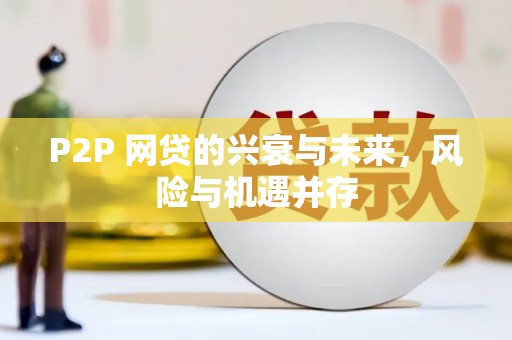 虞城P2P 网贷的兴衰与未来，风险与机遇并存