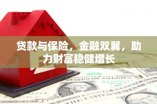 虞城贷款与保险，金融双翼，助力财富稳健增长
