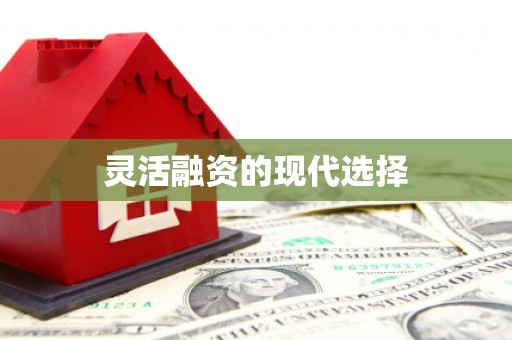 虞城灵活融资的现代选择