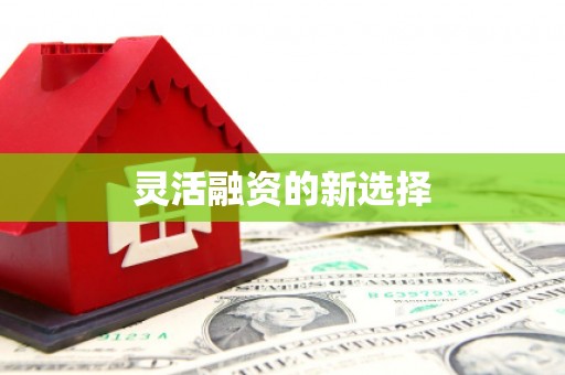 虞城灵活融资的新选择